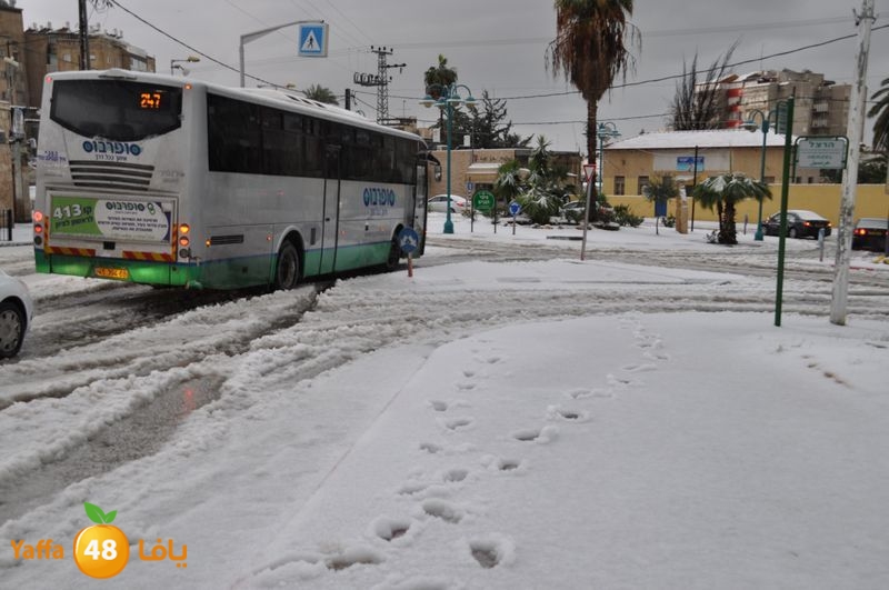 iceman lud 1213 (62).JPG